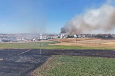 Silivri’de rüzgarla büyüyen yangında alevleri kontrol altına alma çalışmaları devam ediyor 