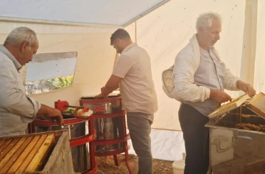 Sincik’te bal hasadı başladı 