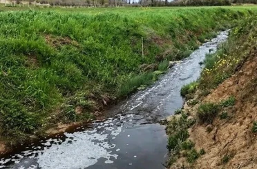 Sinop’ta çevreyi kirleten tesise 1.6 milyon TL ceza 
