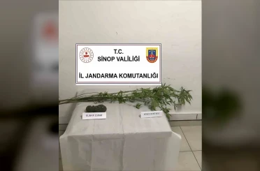 Sinop’ta kenevir ve kubar esrar ele geçirildi 