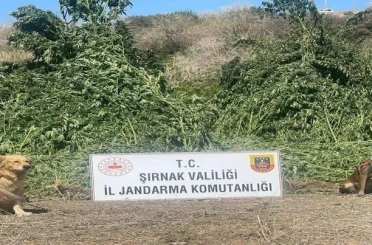 Şırnak’ta 11 milyon liralık kaçakçılık olayı önlendi 