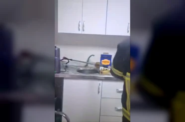 Şırnak’ta iş yerinde yılan paniği 