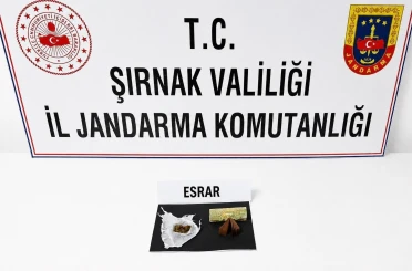 Şırnak’ta jandarma son 1 haftada 104 şüpheli hakkında işlem yaptı 