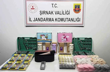 Şırnak’ta jandarmadan asayiş, kaçakçılık ve narkotik operasyonu 