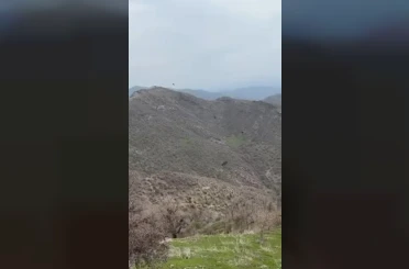 Şırnak’ta kartalın domuz avı kamerada 