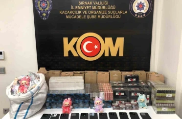Şırnak’ta narkotik ve kaçakçılık operasyonunda 2 tutuklama 