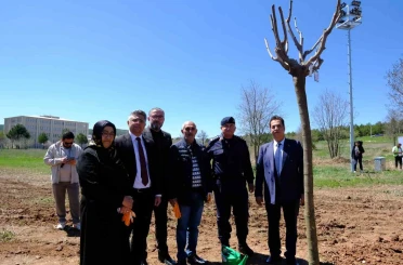 Sivas’ta şehitlerin adı fidanlarda yaşatılacak 