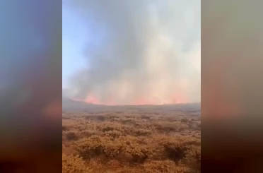 Siverek Karacadağ’da yangın 