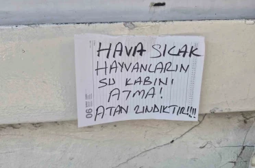 Sokak hayvanlarının su kabını atanlara ilginç tepki: "Atan zındıktır" 