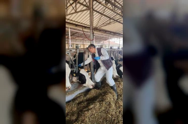 Söke TAYEM’de tüberküloz ve brucella taraması yapıldı 