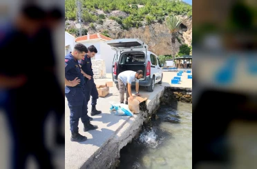 Söke’de kaçak su ürünleri nakline geçit verilmedi 