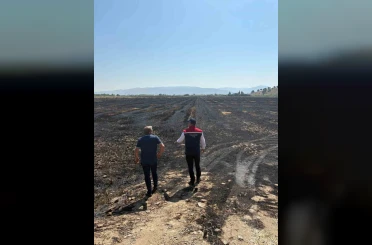 Söke’de yangından zarar gören tarım arazileri incelendi 