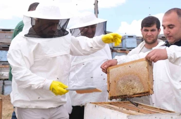 Sorgun’da sezonun ilk bal hasadı yapıldı, Sorfest 2026’da ‘En İyi Bal’ seçilecek 