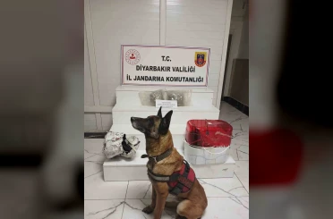 Su arıtma cihazına zulalanmış esrar ele geçirildi 