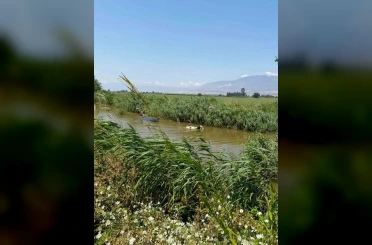 Su kanalına düşen ineği itfaiye kurtrdı 