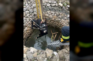 Su kuyusuna düşen inek itfaiye ekiplerince kurtarıldı 