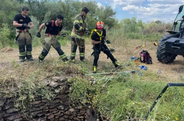 Su kuyusuna düşen yaban domuzu, itfaiye ekiplerince kurtarıldı 