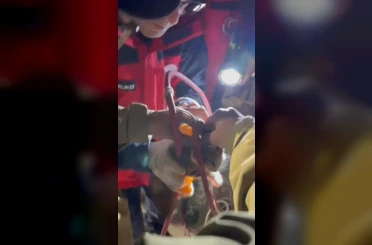 Su pompası deliğine düşen yavru kediyi itfaiye kurtardı 