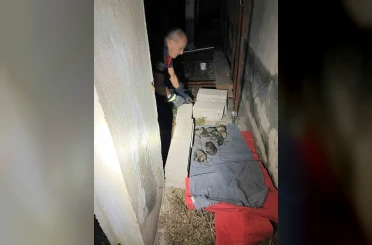 Sulama kanalına düşen anne köpek ve yavrularını itfaiye ekipleri kurtardı 