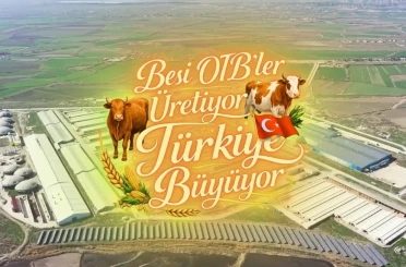 Suluova Besi OTB’de 15 bin 650 büyükbaş kapasite, bin 500 kişiye istihdam 
