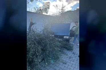Süratli otomobil önce ağaca sonra duvara çarptı 