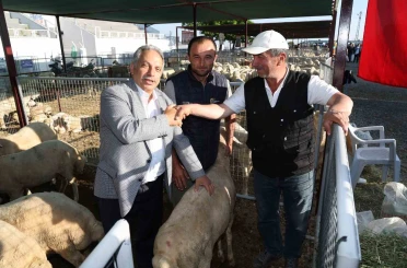 Talas’ta Kurban Pazarı başvuru tarihi belli oldu 