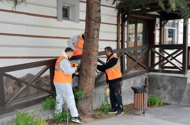 Talas’tan çevre dostu ilaçlama atağı 