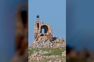 Tarihi yapıda tepki çeken halay 