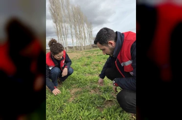 Tarım arazilerinde hastalık ve zararlı kontrolleri yapıldı