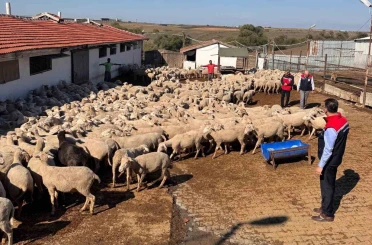 Tarım İl Müdürü Aksoy üreticinin sorunlarını yerinde dinledi 