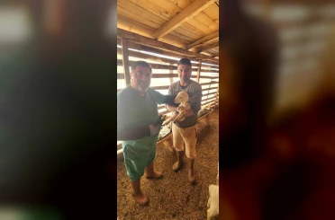 Tarım Müdürlüğü’nden Sazlı’da hayvan sağlığı mesaisi 