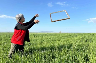 Tarım ürünlerinde rekolteyi arttırmak amacıyla zararlı takibi sürüyor 