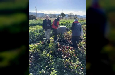 Tarımda kimyasalsız üretime yerinde inceleme 