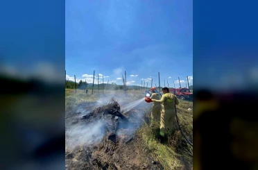 Tarlada yakılan ateş yangına neden oldu 