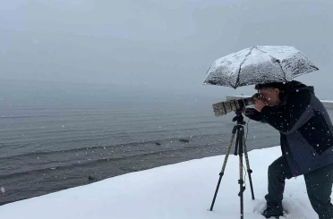 Tatvan’a kış ortasında kuş akını 