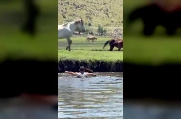 Tayı kurtarmak için suya atladı, o anlar kamerada 