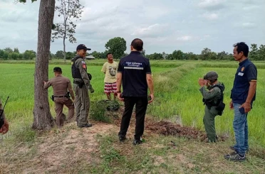 Tayland’da evcil köpek, eve el bombası getirdi 