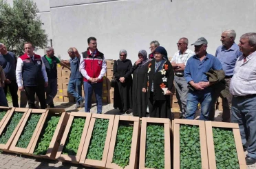 Tekirdağ’da 407 üreticiye 256 bin yazlık sebze fidesi dağıtıldı 