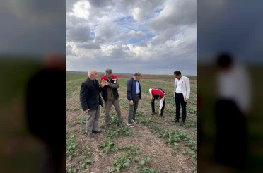 Tekirdağ’da anıza kanola ekimi 