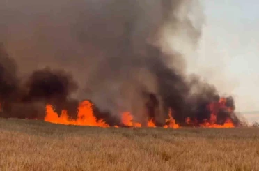 Tekirdağ’da buğday tarlalarına sıçrayan yangında 300 dönüm alan kül oldu 
