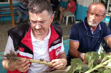 Tekirdağ’da dolunun vurduğu köylerde hasar tespit çalışmaları sürüyor 