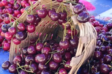 Tekirdağ’da kiraz fiyatları düşüşe geçti: 250 TL’den 150-100 TL bandına geriledi 