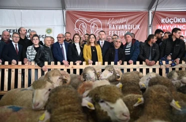 Tekirdağ’da küçükbaş hayvancılık festivali 