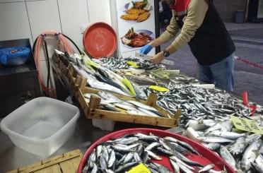 Tekirdağ’da su ürünleri denetimleri aralıksız sürüyor 