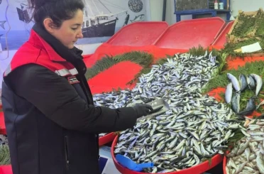 Tekirdağ’da su ürünlerine sıkı denetim 