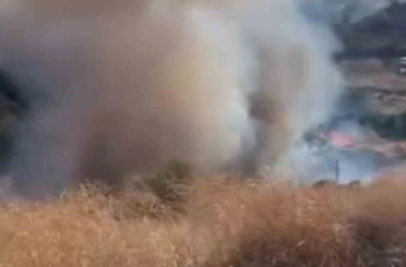Tekirdağ’da yangında 80 dekar alan zarar gördü 