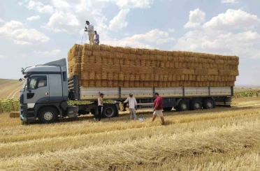 Tekirdağlı genç çiftçiden yangın bölgesindeki üreticilere saman balyası yardımı 