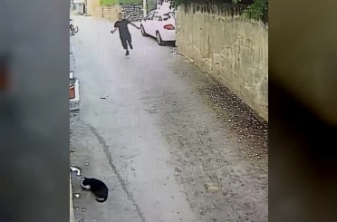 Telefonu çaldı, tazı gibi koştu: O anlar kamerada 