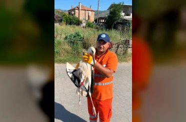Temizlik personelinin duyarlılığı yaralı Leyleğe umut oldu 