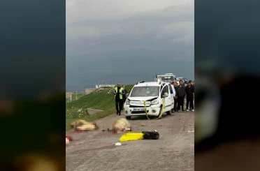 Ticari araç koyun sürüsüne daldı: Çoban öldü, 9 koyun telef oldu 